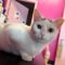 Yuki