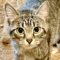 Wide Eyed Wilhelmina