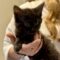 Meredith