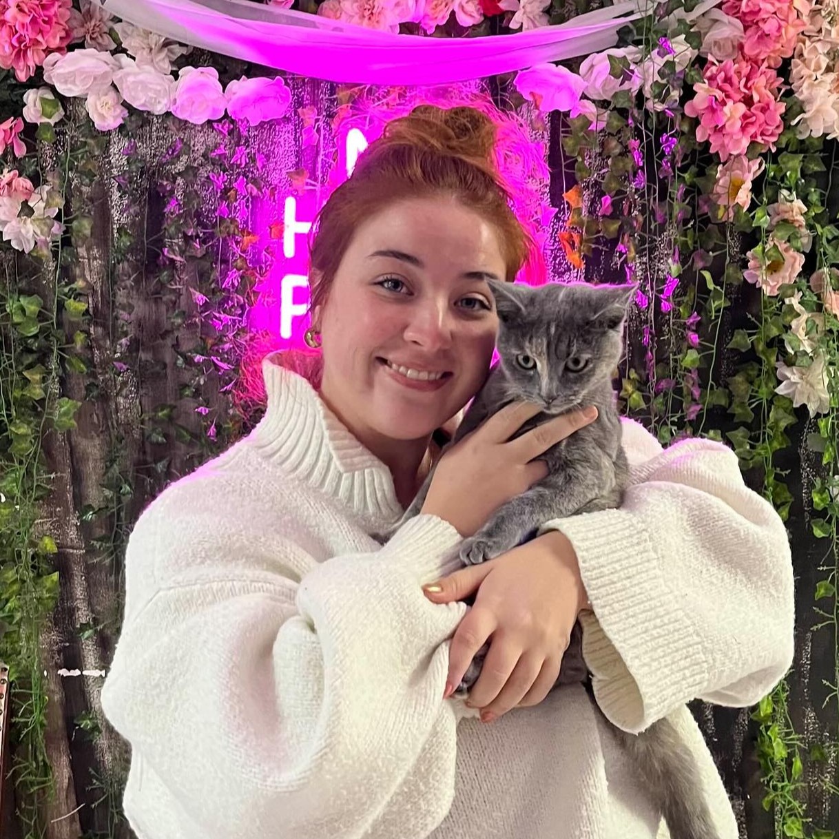 adoption 2 adoption 2