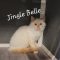 Jingle Belle