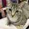 Sasha