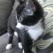 Tootsie