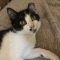 Target Tucker